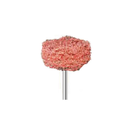 Brosses de polissage - Rouge grossier - Ø 25 mm - Dian Fong - Dental Coop