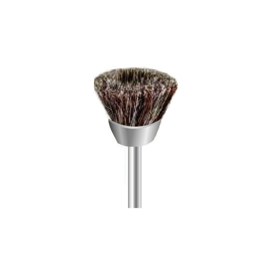 Brosses de polissage - Poils - Ø 12 mm - DIAN FONG - Dental Coop