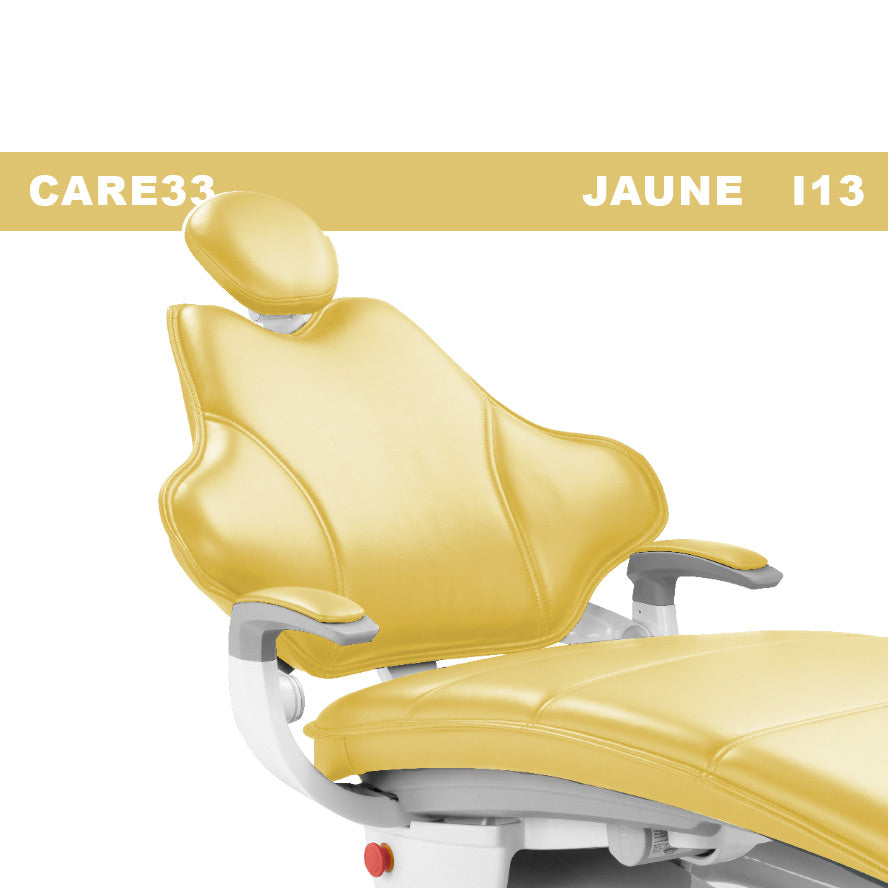 Fauteuil dentaire 18 coloris - CARE 33 - Runyes - oofti.fr
