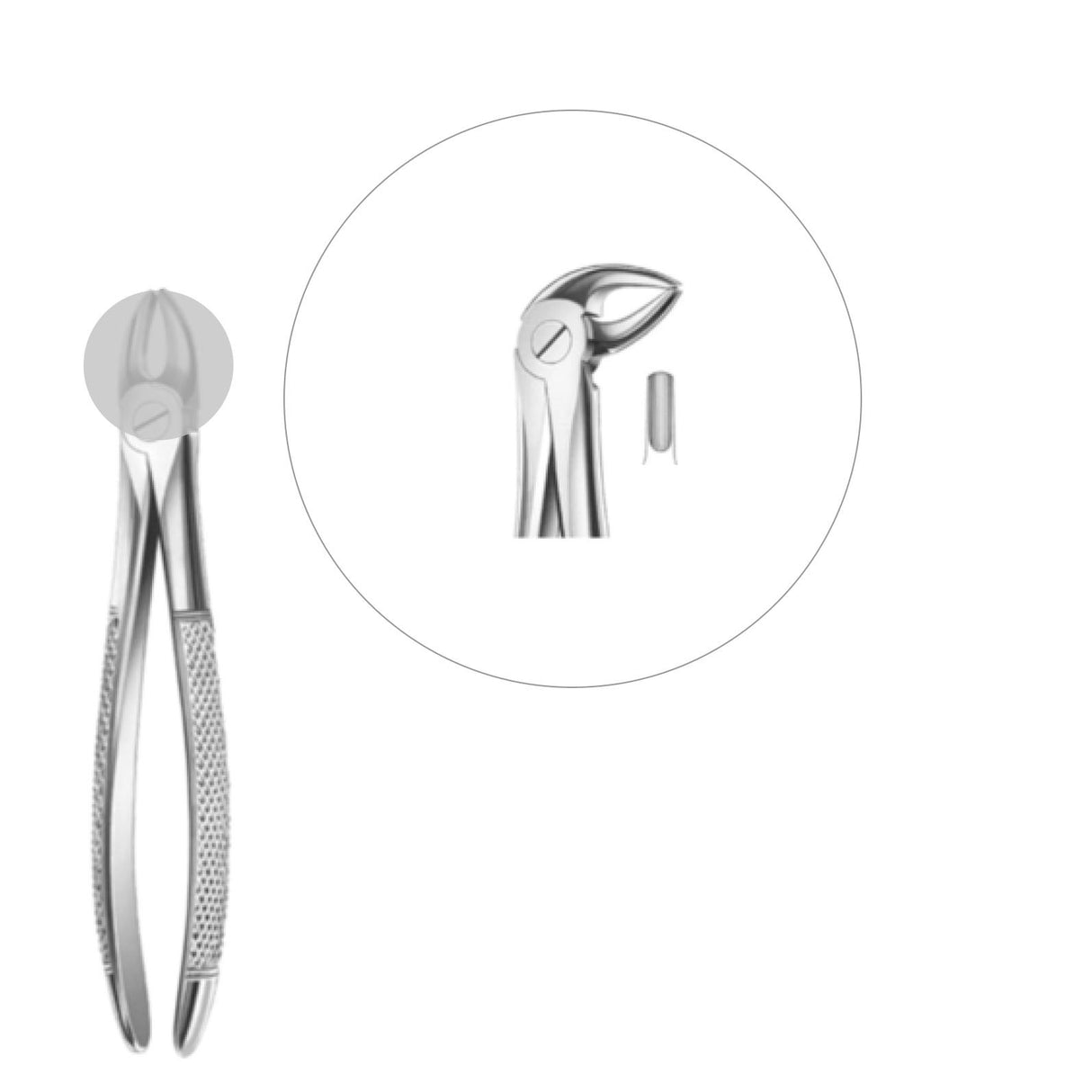 Davier enfant molaires inférieures - oofti.fr