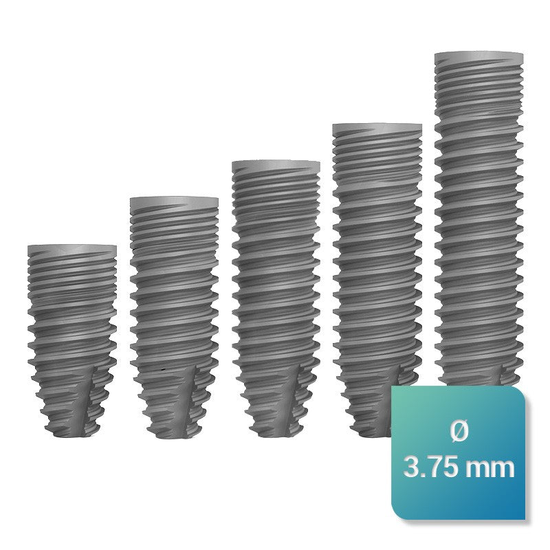 Safe Regular 3,75 mm de diamètre - oofti.fr