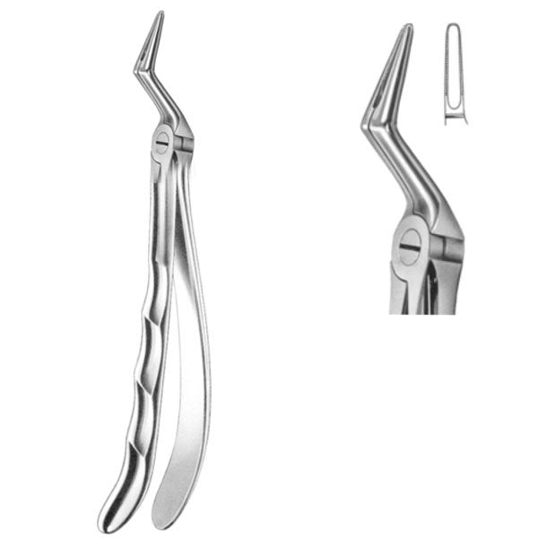 Davier coudé pour racine supérieure - oofti.fr