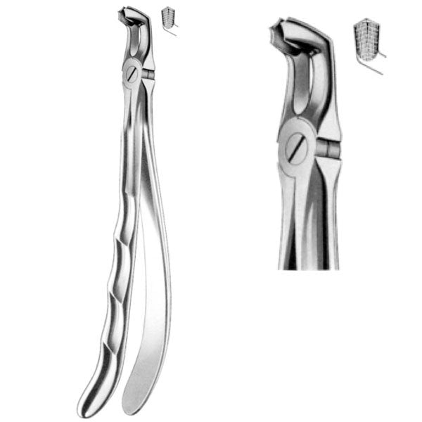 Davier troisième molaire inférieure (dent de sagesse) - oofti.fr