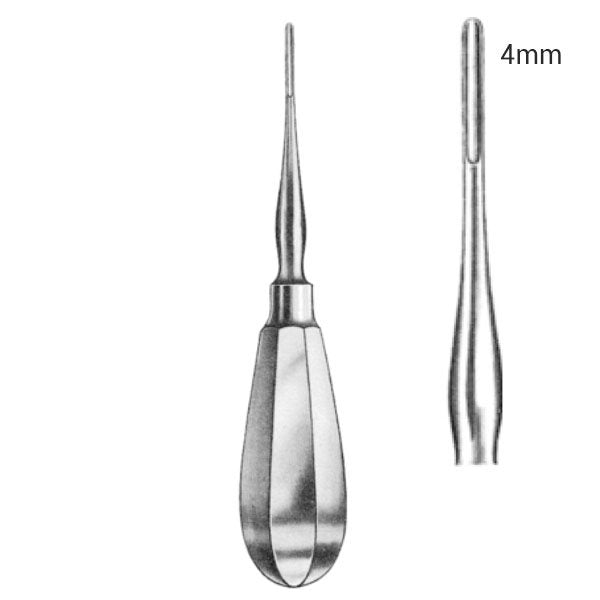 Elévateur de Bein droit 4mm - oofti.fr