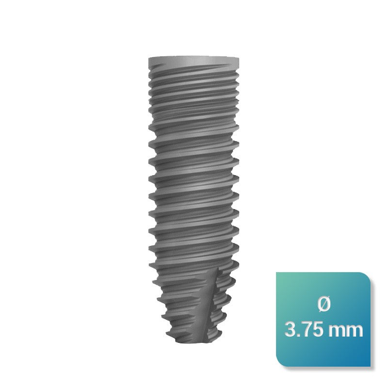 Safe Regular 3,75 mm de diamètre - oofti.fr