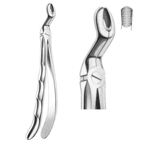 Davier pour troisième molaire supérieure (dent de sagesse) - oofti.fr