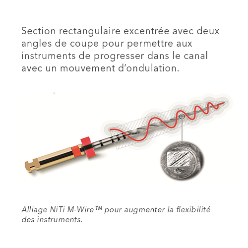 Pack de 6 imes ProTaper Next 21 mm - Dentsply Sirona - oofti.fr