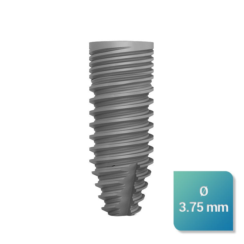 Safe Regular 3,75 mm de diamètre - oofti.fr