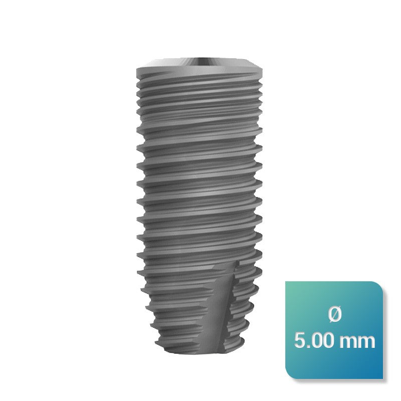 Safe Regular 5,00 mm de diamètre - oofti.fr