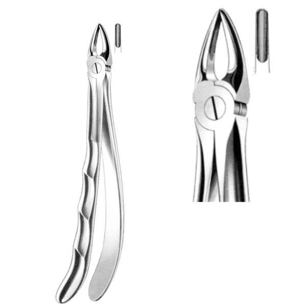 Davier droit pour racine supérieure frontale - oofti.fr