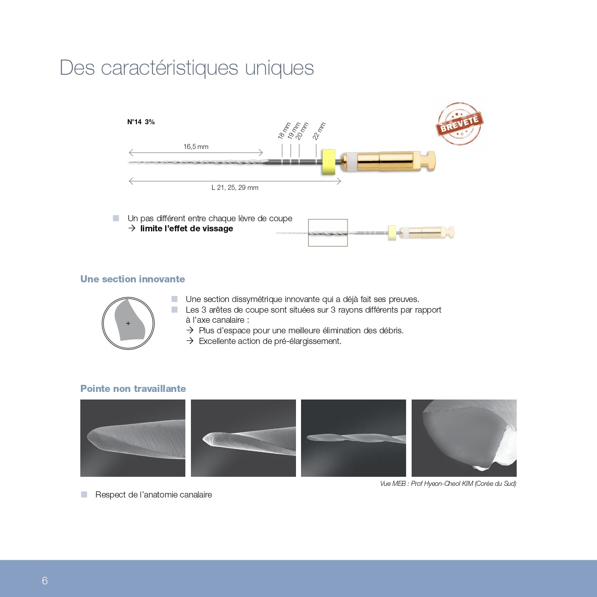 Lot de 6 limes One G NiTi de cathétérisme en rotation continue MicroMega - Dental Coop