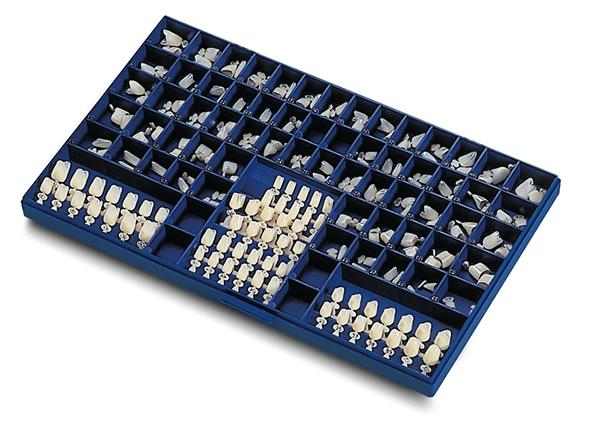 Couronnes polycarbonate - Kent Dental - oofti.fr