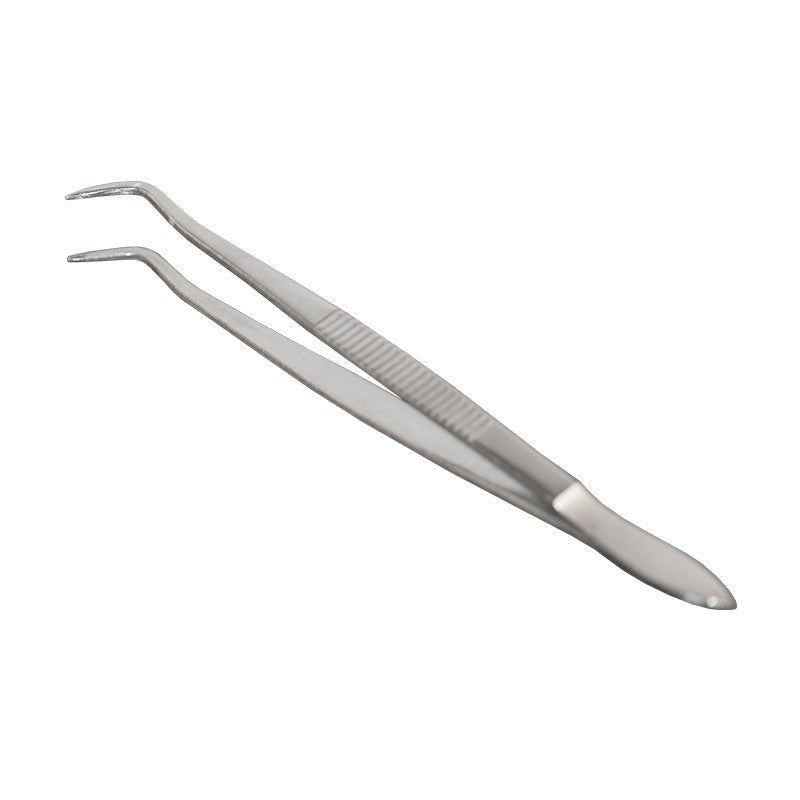 Précelle - oofti.fr