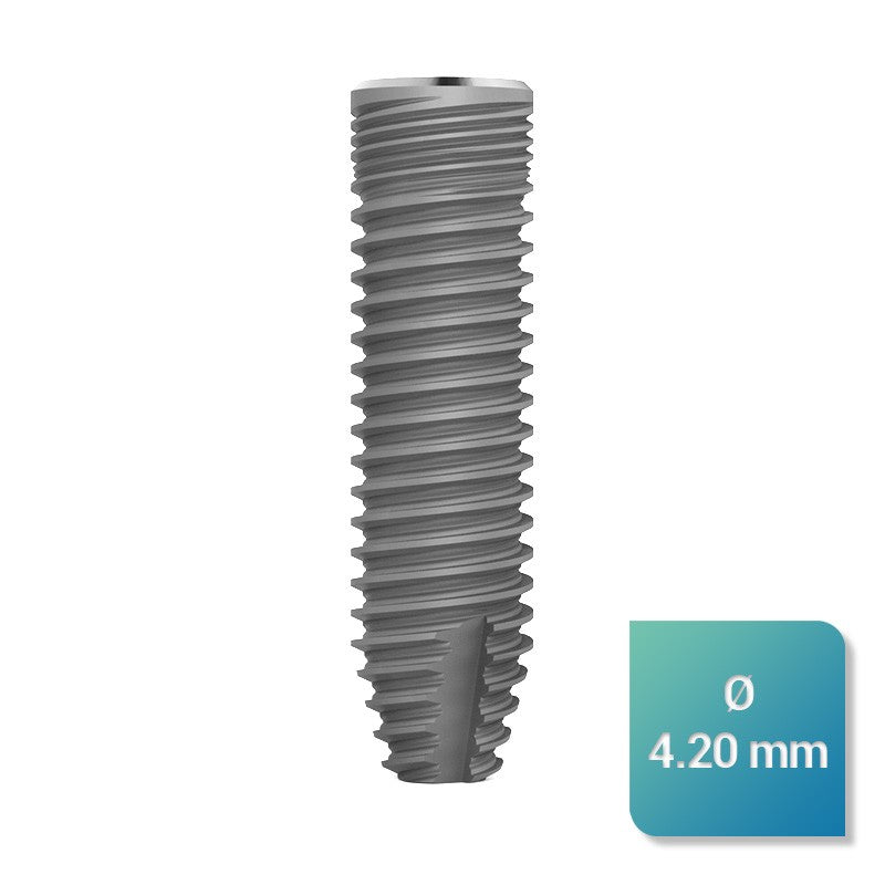 Safe Regular 4,20 mm de diamètre - oofti.fr