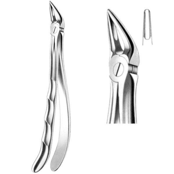 Davier pour racine supérieure - oofti.fr