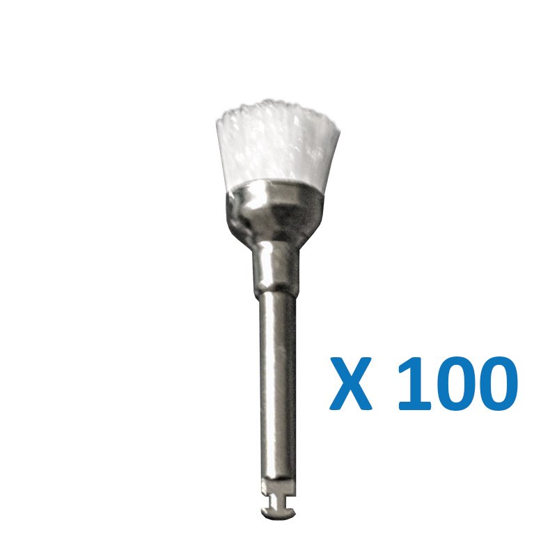 Brossette de prophylaxie (x100) - oofti.fr