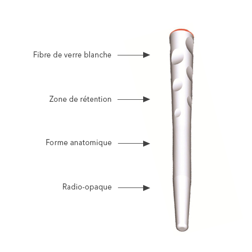 Fibio Fiberglass Posts - Anthogyr