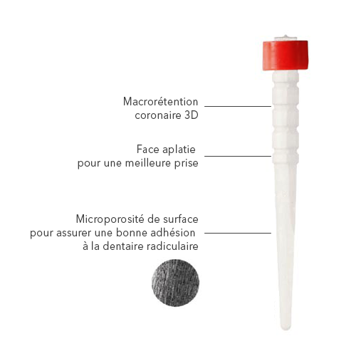 Tenons Relyx Fiber Post 3D - 3M