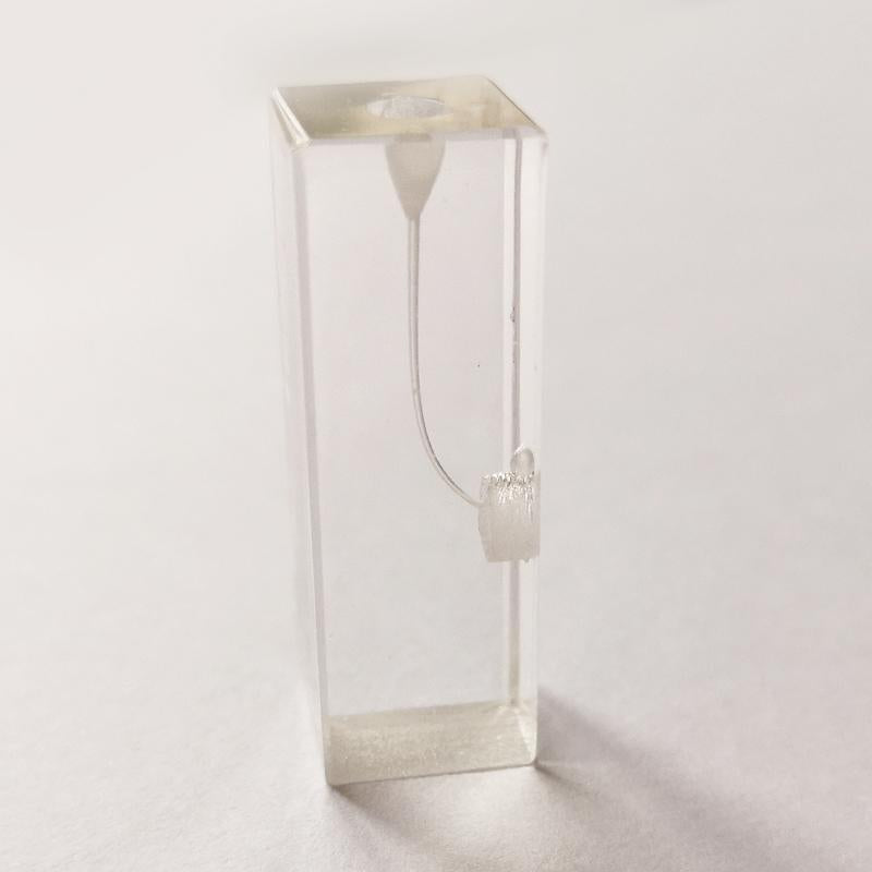 Bloc d'entrainement endodontie une racine pour lime - oofti.fr