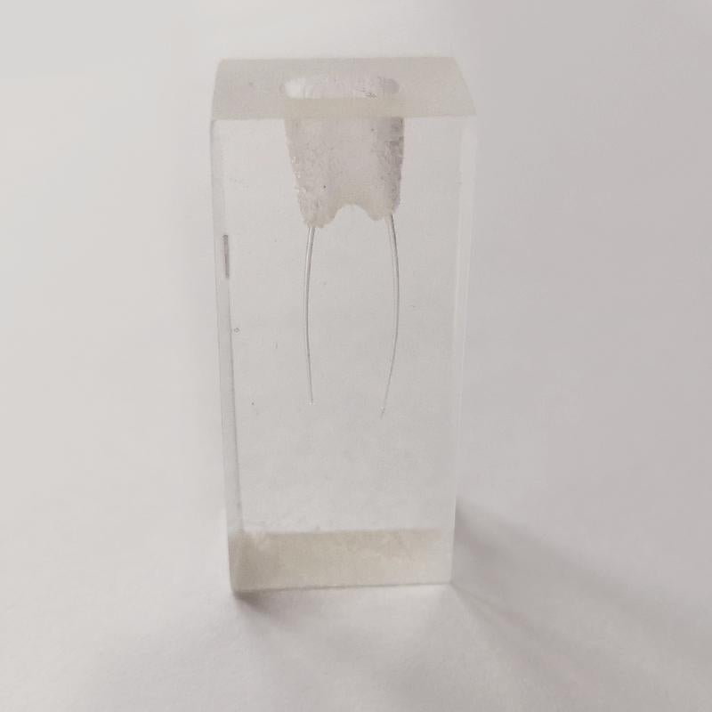 Bloc d'entrainement endodontie deux racines pour lime - oofti.fr