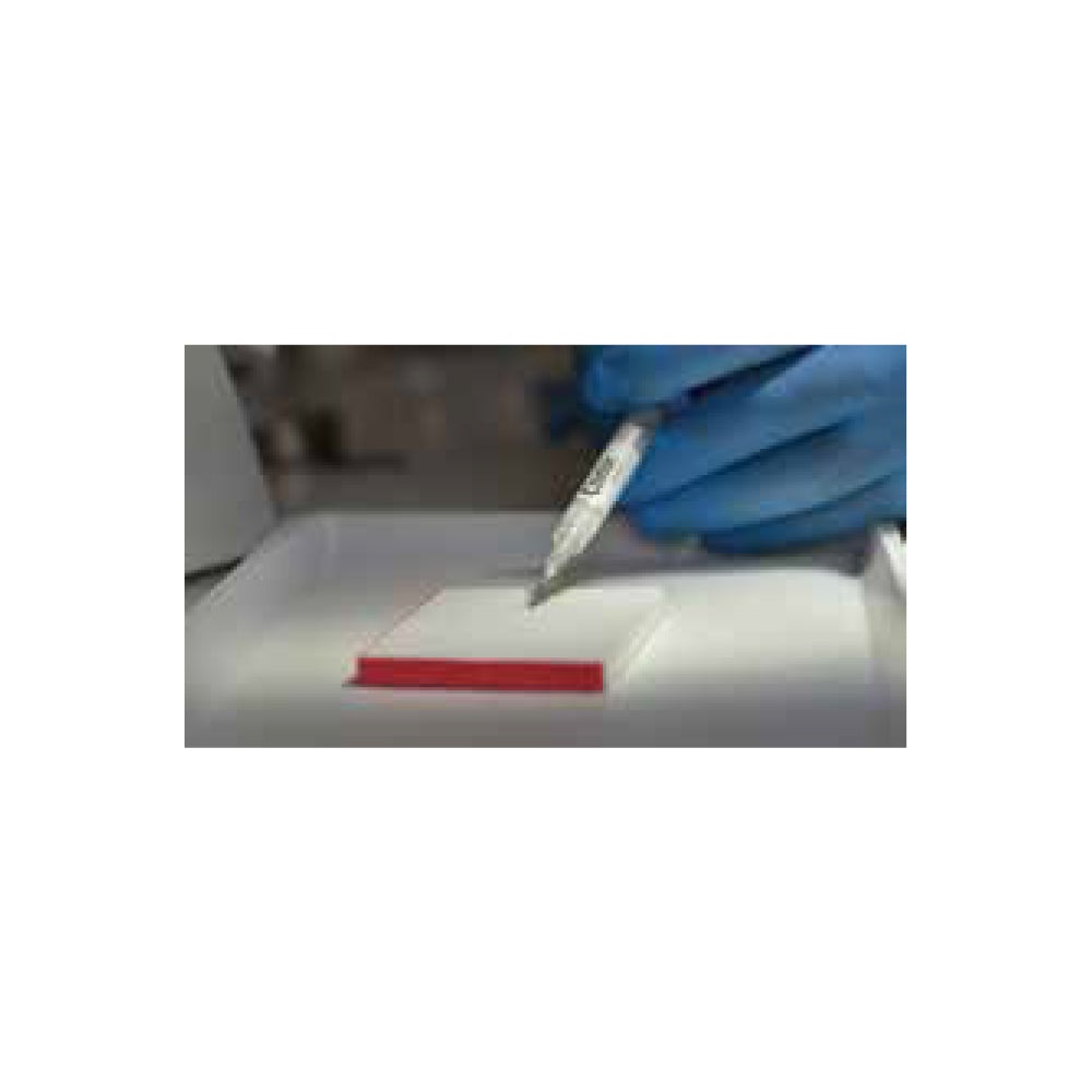 Endo Prep EDTA - Clinix