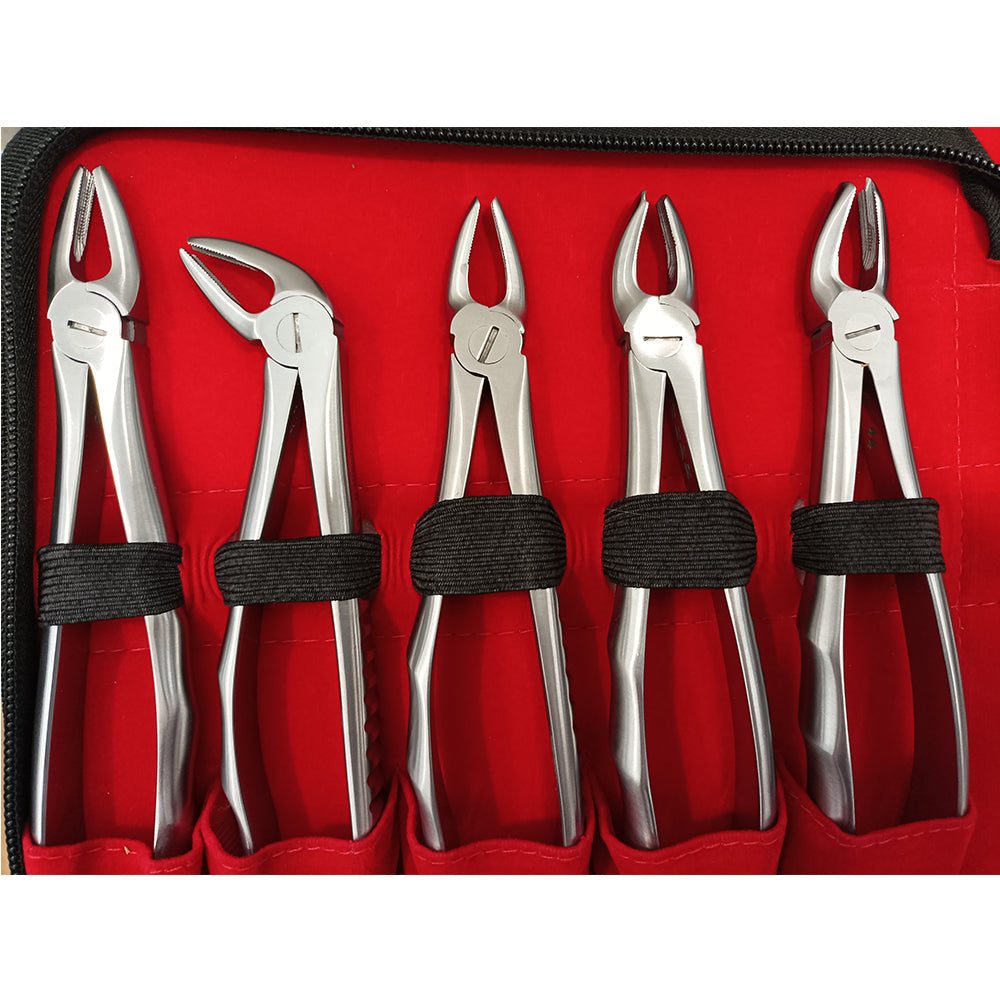 Set de 10 daviers et pochette