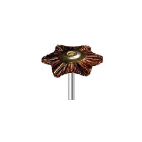 Brosses de polissage - Poils de poney - Ø 22 mm - DIAN FONG - Dental Coop