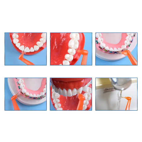 Brosse interproximale avec cure-dent x8 pièces - CoralClean - oofti,fr