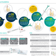 Well-Root ST -Matériau d’obturation endodontie biocéramique hautement compatible et innovant, conditionné en seringue prêt à l’emploi - VERICOM