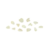 Résine 3D de calcinage pour céramiques pressées 1kg - DENTAL CAST - ArmaResin - oofti.fr