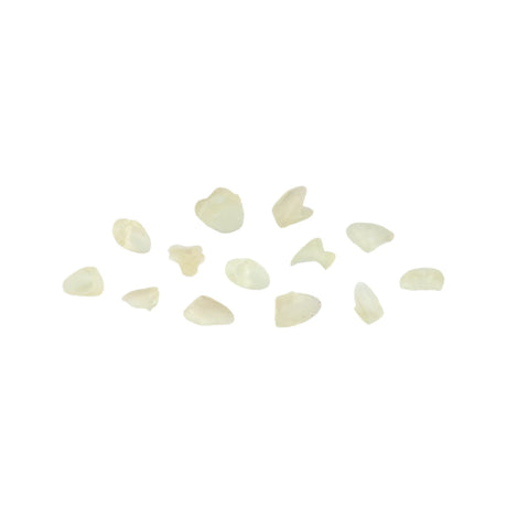 Résine 3D de calcinage pour céramiques pressées 1kg - DENTAL CAST - ArmaResin - oofti.fr