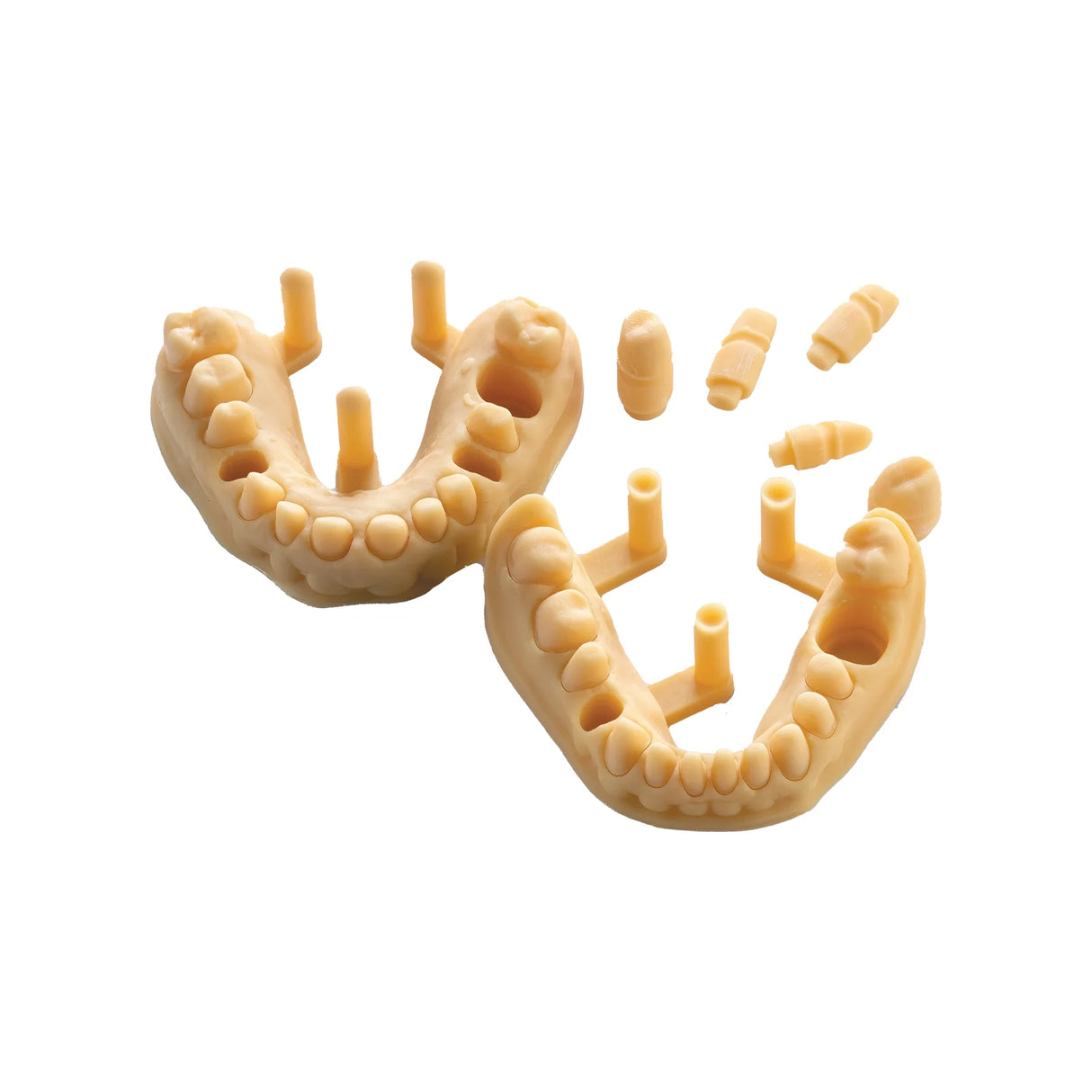 Résine d’impression 3D dentaire pour modèles 1kg – DENTAL MODEL HP - ArmaResin - oofti.fr