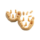 Résine d’impression 3D dentaire pour modèles 1kg – DENTAL MODEL HP - ArmaResin - oofti.fr