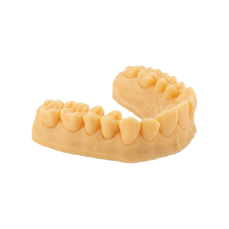 Résine d’impression 3D dentaire pour modèles 1kg – DENTAL MODEL HP - ArmaResin - oofti.fr