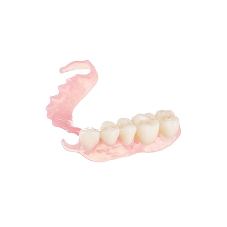 Résine 3D pour prothèses partielles et complètes 1kg - FLEXIBLE DENTURE II - ArmaResin - oofti.fr
