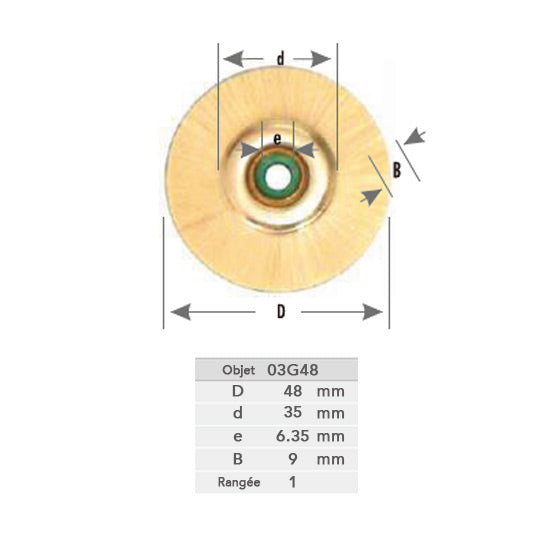 Roues de polissage - Poils de chèvre blancs - Ø 48 mm - DIAN FONG - Dental Coop