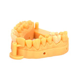 Résine pour model 3D - 1 kg - HUGE - oofti.fr Résine 3D dentaire Huge 1kg pour imprimante LCD/DLP - Résine dentaire haute précision pour impression 3D - Résine 3D professionnelle pour dentisterie