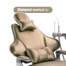 Fauteuil dentaire Maple 62 - Runyes