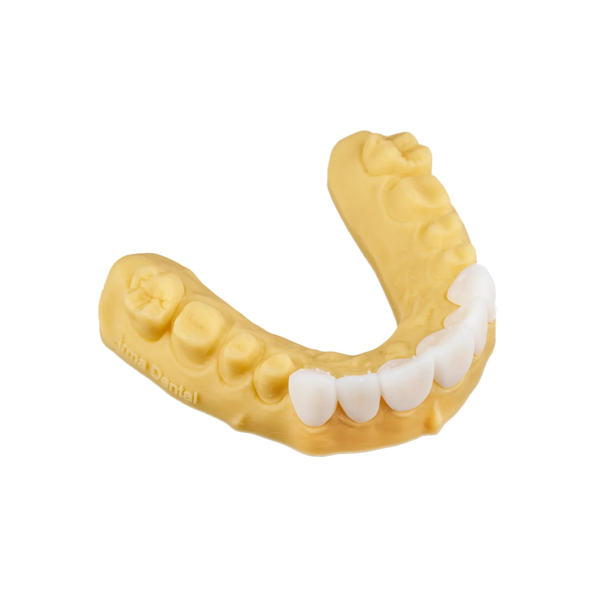 Résine 3D gingivale pour impression en 3D 1kg - GINGIVA - ArmaResin - oofti.fr