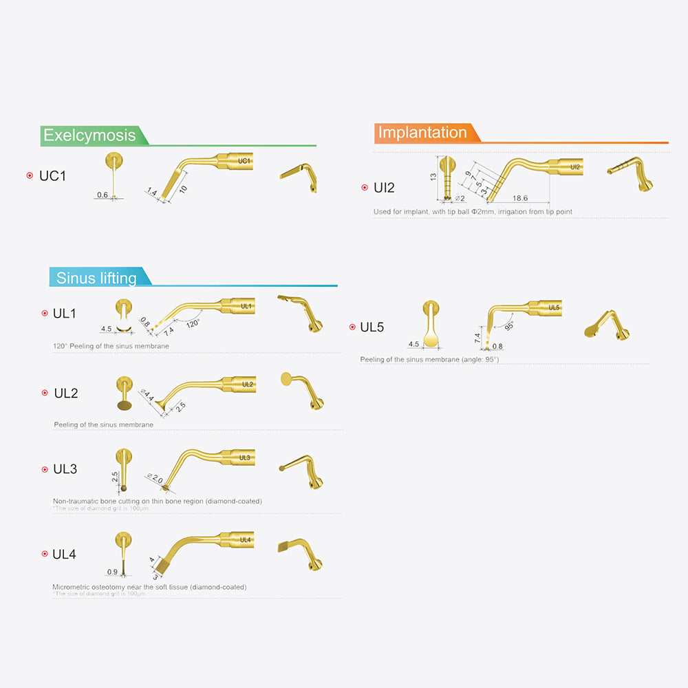 Insert de chirurgie osseuse, exelcymosis, implantation, élévation sinusienne