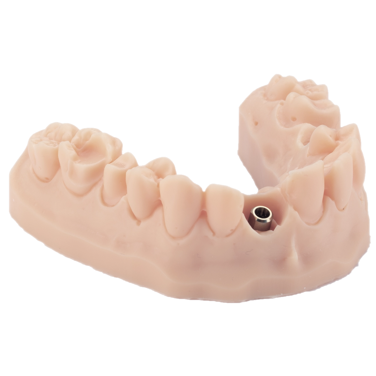 3D-Druckharz für Zahnmodelle 1 kg – DENTAL MODEL HP - ArmaResin