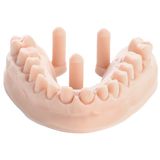 3D-Druckharz für Zahnmodelle 1 kg – DENTAL MODEL HP - ArmaResin