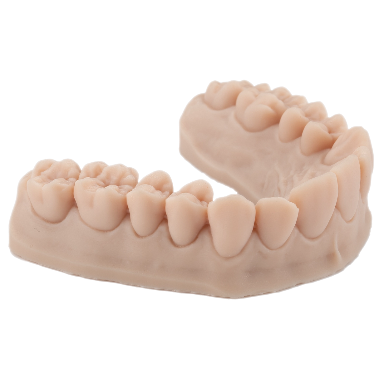 3D-Druckharz für Zahnmodelle 1 kg – DENTAL MODEL HP - ArmaResin