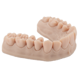 3D-Druckharz für Zahnmodelle 1 kg – DENTAL MODEL HP - ArmaResin