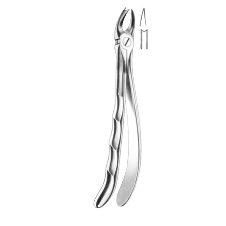 Davier molaires supérieures gauche - oofti.fr