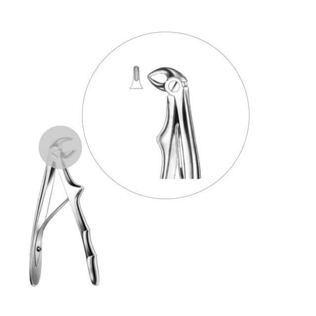 Davier racines inférieures - oofti.fr