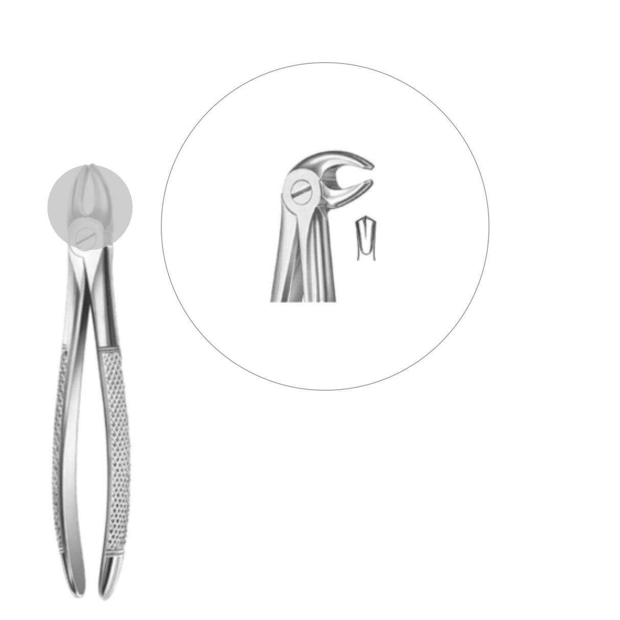 Davier enfant molaires inférieures - oofti.fr