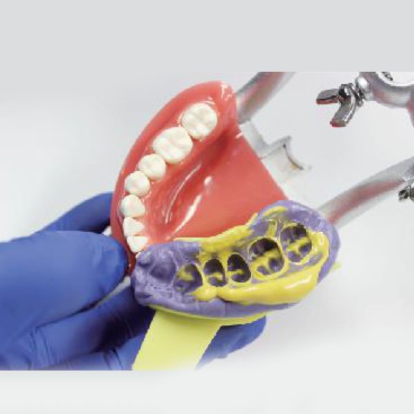 Boîte de 20 porte-empreintes en plastique alvéolés - oofti.fr