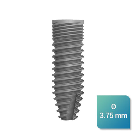 Safe Regular 3,75 mm de diamètre - oofti.fr