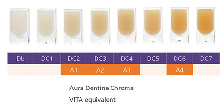 Matériau de restauration ultra universel. Permet une approche très facile du processus de sélection de la couleur de la dent. Technique simple de stratification permettant de reproduire les couleurs naturelles des dents.